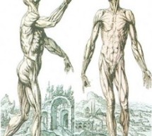 MASTEKTOMIA QË NGA LASHTËSIA E DERI MË SOT (I) MASTEKTOMIA QË NGA LASHTËSIA E DERI MË SOT (I)