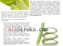 Vetitë terapeutike të ALOE VERA Vetitë terapeutike të ALOE VERA