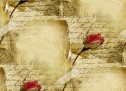 Të dashurës së martuar: “Ndërsa unë do të të kujtoj gjithmonë…” Të dashurës së martuar: “Ndërsa unë do të të kujtoj gjithmonë…”