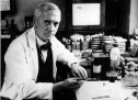 Penicillin: the first miracle drug Penicillin: the first miracle drug