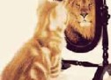 Të jesh ai që je. Ky është hapi i parë për t’u bërë më i mirë nga ç’je… Të jesh ai që je. Ky është hapi i parë për t’u bërë më i mirë nga ç’je…