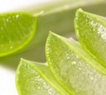 SAPUN ANTI-RRUDHË ME ALOE VERA NË KUSHTE SHTËPIE, (EKSKLUZIVE) SAPUN ANTI-RRUDHË ME ALOE VERA NË KUSHTE SHTËPIE, (EKSKLUZIVE)