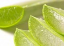 SAPUN ANTI-RRUDHË ME ALOE VERA NË KUSHTE SHTËPIE, (EKSKLUZIVE) SAPUN ANTI-RRUDHË ME ALOE VERA NË KUSHTE SHTËPIE, (EKSKLUZIVE)