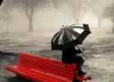NDOSHTA KUPTIMI QË KËRKON… NDOSHTA KUPTIMI QË KËRKON…