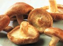 MASKË ME SHITAKE PËR HEQJEN E RRUDHAVE POSHTË SYVE MASKË ME SHITAKE PËR HEQJEN E RRUDHAVE POSHTË SYVE