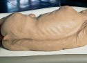 TRONDITËSE! NË LABORATORET E BRITANISË SË MADHE PRODHOHEN EMBRIONE HIBRIDE NJERËZISH E KAFSHËSH! TRONDITËSE! NË LABORATORET E BRITANISË SË MADHE PRODHOHEN EMBRIONE HIBRIDE NJERËZISH E KAFSHËSH!