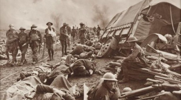 PËRDORIMI I MUSHKONJAVE SI ARMË LUFTE! PËRDORIMI I MUSHKONJAVE SI ARMË LUFTE!