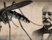 PANDEMIA E ETHEVE TË VERDHA PANDEMIA E ETHEVE TË VERDHA