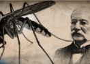 PANDEMIA E ETHEVE TË VERDHA PANDEMIA E ETHEVE TË VERDHA