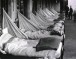 PANDEMIA E VITIT 1918 QË VRAU MBI 20 MILIONË NJERËZ! PANDEMIA E VITIT 1918 QË VRAU MBI 20 MILIONË NJERËZ!